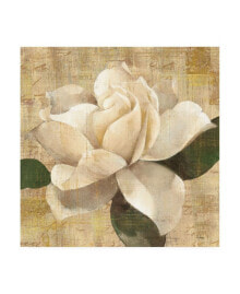 Trademark Global albena Hristova Gardenia Blossom on Script Canvas Art - 19.5