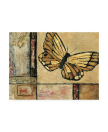 Trademark Global judi Bagnato Butterfly in Border II Canvas Art - 36.5