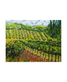 Trademark Global allan Friedlander Mountain Vineyard Hill Canvas Art - 19.5