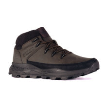 Men's Low Boots