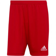Мужские спортивные шорты adidas Entrada 22 M H61735 shorts