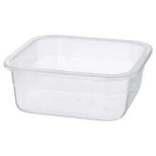 Containers and lunch boxes