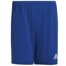 Adidas Entrada 22 M HG6294 shorts