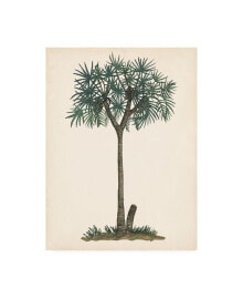 Trademark Global melissa Wang Palm Tree Study III Canvas Art - 27