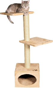 Scratching posts for cats