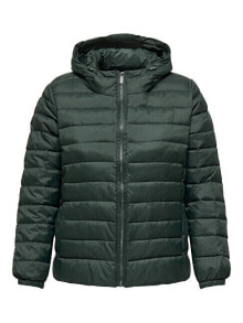 Women's down jackets and winter jackets