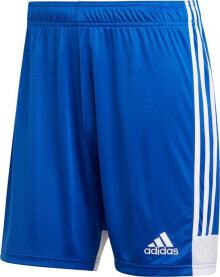 Men's Sports Shorts