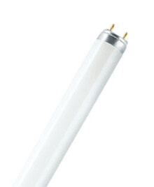 Лампочки osram Lumilux T8 люминисцентная лампа 36 W G13 Теплый белый A+ 4050300517919