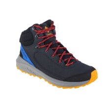 Men's Low Boots