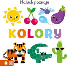 Zielona Sowa Maluch poznaje ... Kolory 94063