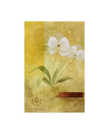 Trademark Global pablo Esteban White Floral Yellow 2 Canvas Art - 27
