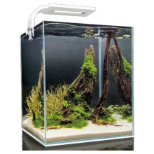 Купить лежаки и домики для собак Aquael: AQUAEL Shirmp D And N Complete Aquarium 10L