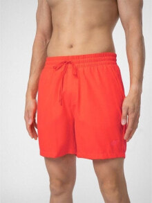 Swimming trunks and shorts