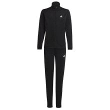 Tracksuit adidas Essentials Big Logo Track Suit Jr. IC5686