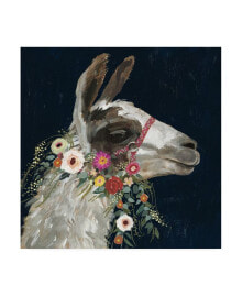 Trademark Global victoria Borges Lovely Llama I Canvas Art - 15.5