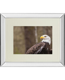 Classy Art majestic Eagle by Gary tog Double Matted Mirror Framed Wall Art - 34