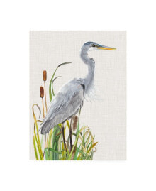 Trademark Global naomi Mccavitt Water Birds and Cattails I Canvas Art - 37