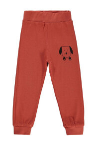 Children's sweatpants for boys