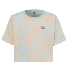 ADIDAS ORIGINALS Graphic Print Crop Short Sleeve T-Shirt