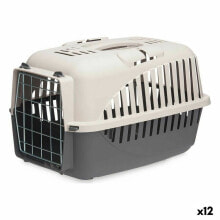 Cat Carriers Mascow