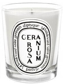 Duftkerze - Diptyque Geranium Rosa Candle