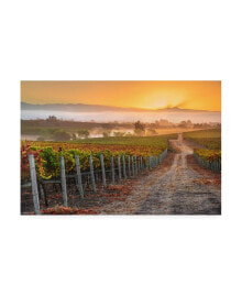 Trademark Global john Gavrili Vineyard Sunrise Canvas Art - 15.5