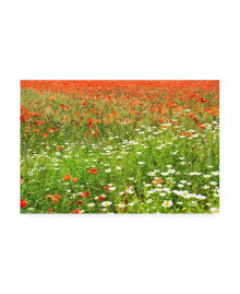 Trademark Global philippe Hugonnard France Provence Spring Flowers Canvas Art - 15.5