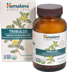 Витамины и БАДы для мужчин himalaya Tribulus Трибулус для здоровья мужской мочеполовой системы 60 капсул
