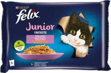 Wet Cat Food