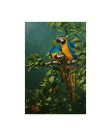 Trademark Global michael Jackson 'Parrots, Love Is' Canvas Art - 16