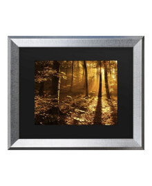 Trademark Global philippe Sainte-Laudy Morning Light Matted Framed Art - 27