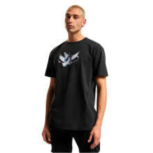 Men's sports T-shirts and T-shirts