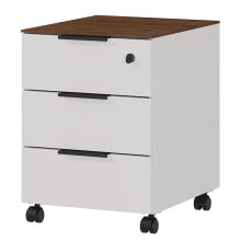 Filing cabinets in the office