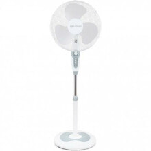 Freestanding Fan Grunkel FAN-B16ECOTIMER 60 W White