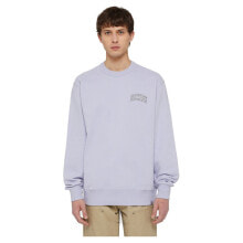 DICKIES Aitkin Chest Sweatshirt