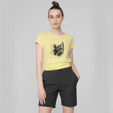 Women's Sports T-shirts, T-shirts and Tops