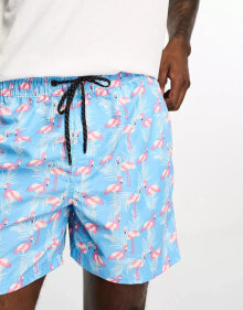 Men's swimming trunks and shorts