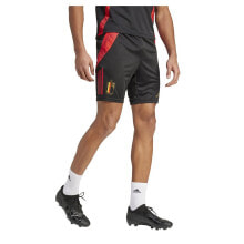 ADIDAS Belgium 23/24 Shorts Training