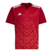 adidas Team Icon 23 Jr HR2652 T-shirt