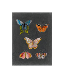Trademark Global naomi Mccavitt Butterflies on Slate II Canvas Art - 37