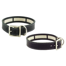 Купить амуниция для собак YOUPET: YOUPET Little Carrier 25x2 cm Dog Collar