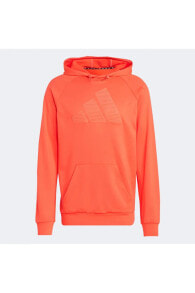 Men's Sports Hoodies