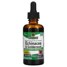 Эхинацея Nature's Answer, Echinacea & Goldenseal, Alcohol-Free, 2 fl oz (60 ml)