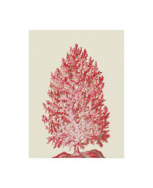 Trademark Global fab Funky Red Corals 1 D Canvas Art - 36.5