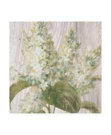 Trademark Global danhui Nai Scented Cottage Florals II Canvas Art - 19.5