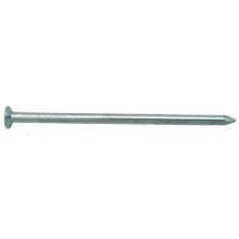 STOKER Flat head nail 2.25x30 mm 30 units