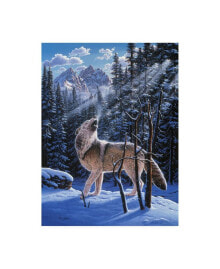 Trademark Global r W Hedge In the Still of the Tetons Canvas Art - 15.5