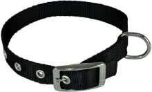 Dog Collars