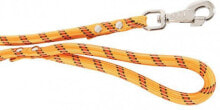 Dog Leashes