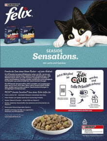 PURINA NESTLE Purina FELIX Seaside Sensations Łosoś 1kg